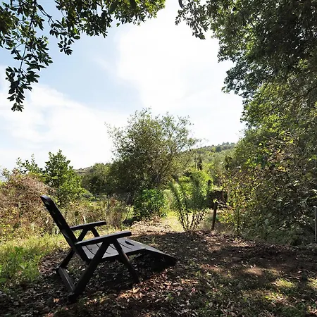 El Jardin De Hesperides Vila Icod De Los Vinos